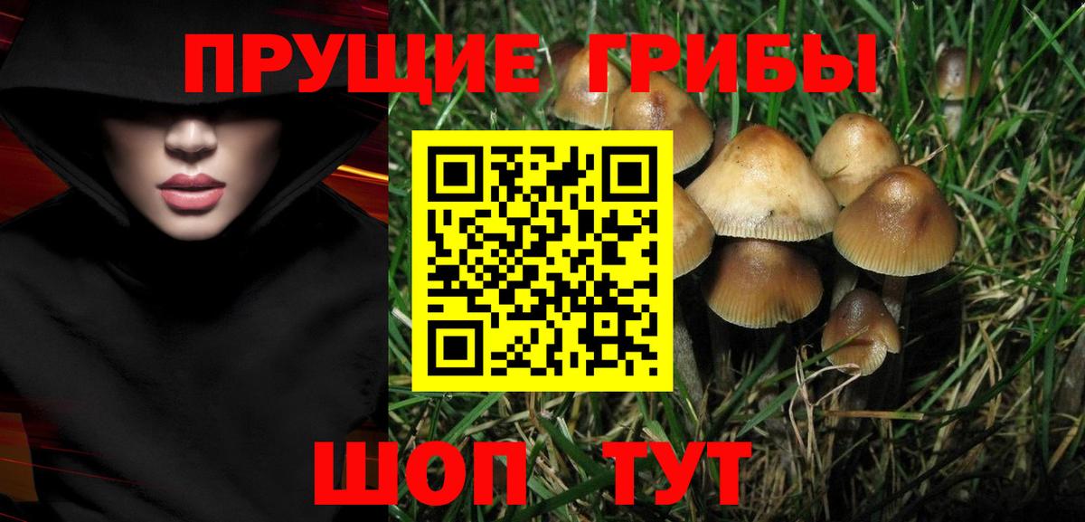 Галлюциногенные грибы мухоморы  Вход с VPN  Благодарный 