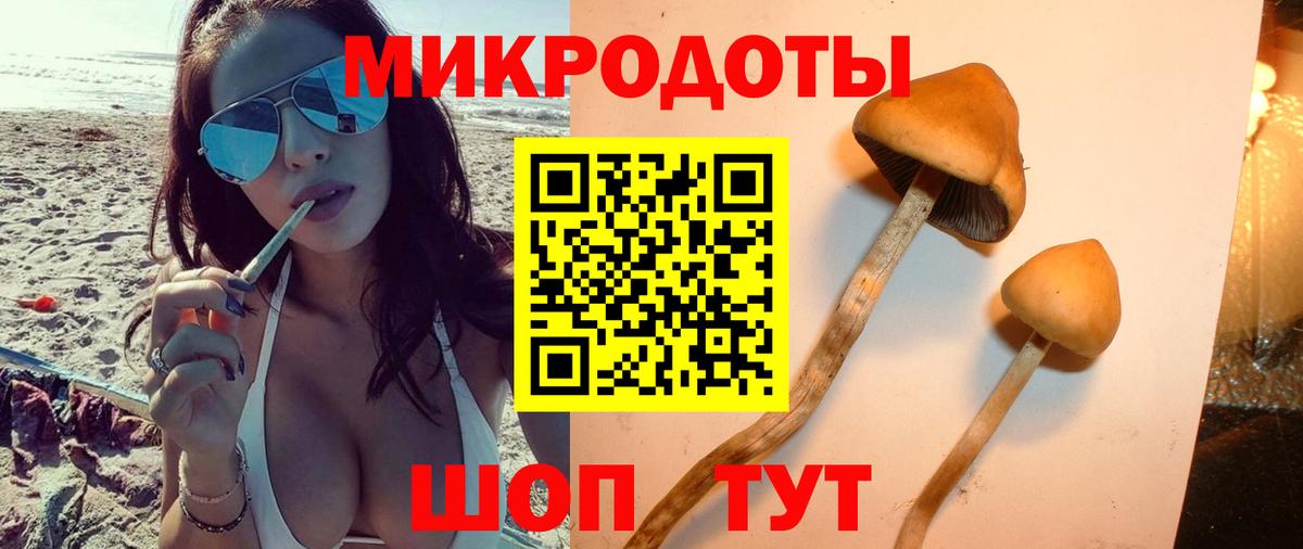 Галлюциногенные грибы Cubensis Благодарный